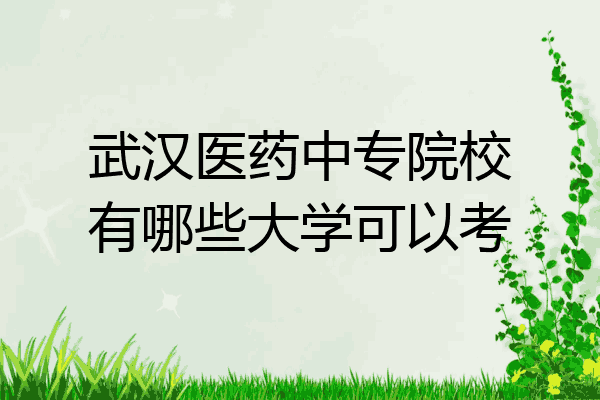 武汉医药中专院校有哪些大学可以考
