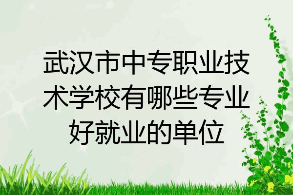 武汉市中专职业技术学校有哪些专业好就业的单位