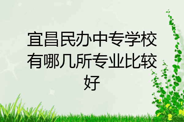 宜昌民办中专学校有哪几所专业比较好