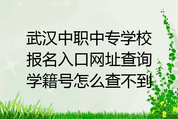 武汉中职中专学校报名入口网址查询学籍号怎么查不到
