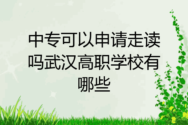 中专可以申请走读吗武汉高职学校有哪些