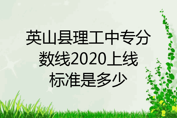 英山县理工中专分数线2020上线标准是多少