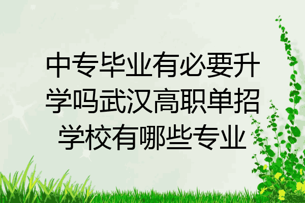 中专毕业有必要升学吗武汉高职单招学校有哪些专业