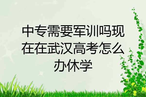 中专需要军训吗现在在武汉高考怎么办休学