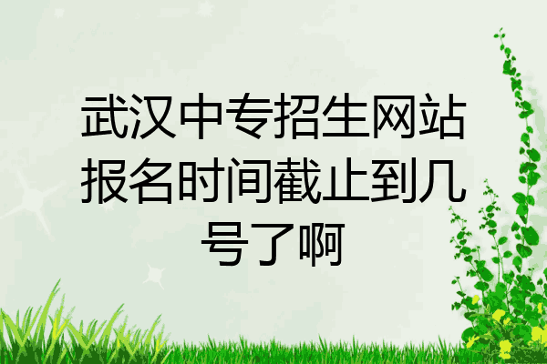 武汉中专招生网站报名时间截止到几号了啊