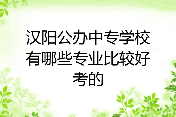 汉阳公办中专学校有哪些专业比较好考的