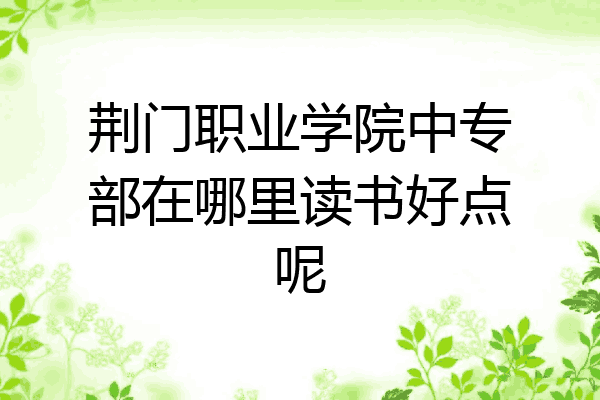 荆门职业学院中专部在哪里读书好点呢