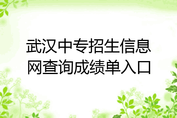 武汉中专招生信息网查询成绩单入口
