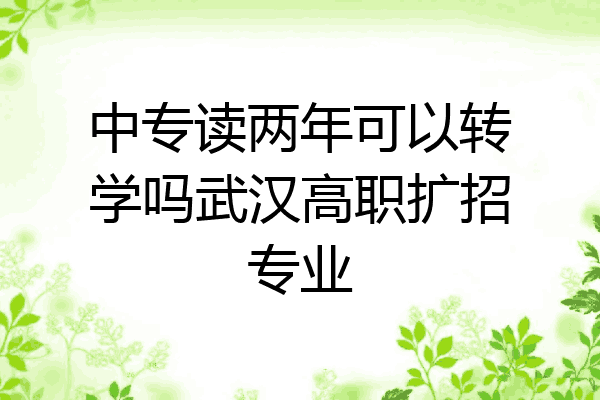 中专读两年可以转学吗武汉高职扩招专业