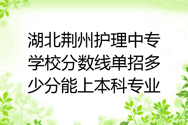 湖北荆州护理中专学校分数线单招多少分能上本科专业