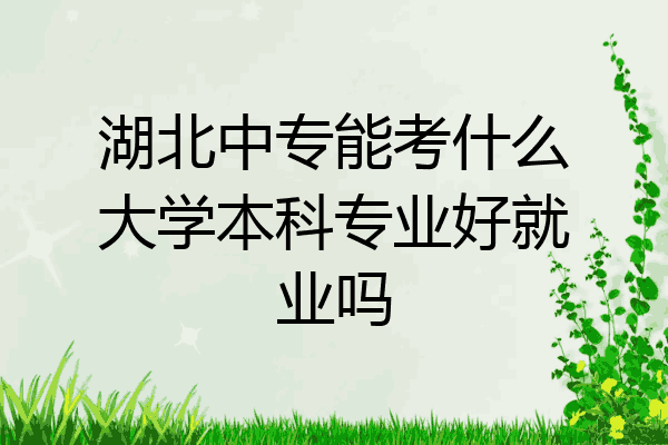湖北中专能考什么大学本科专业好就业吗