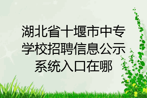 湖北省十堰市中专学校招聘信息公示系统入口在哪