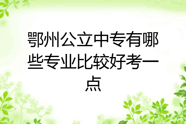 鄂州公立中专有哪些专业比较好考一点