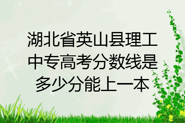 湖北省英山县理工中专高考分数线是多少分能上一本
