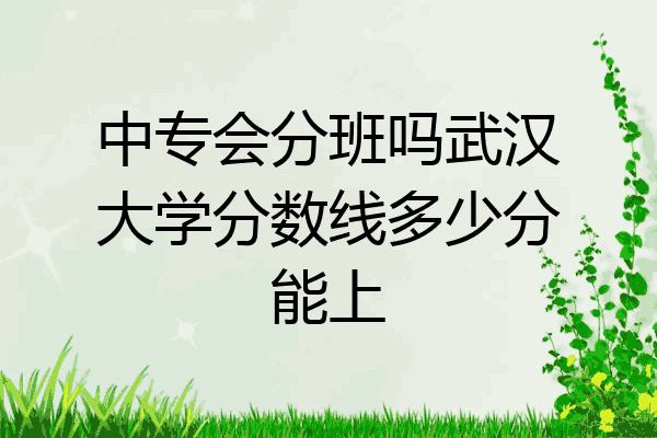 中专会分班吗武汉大学分数线多少分能上