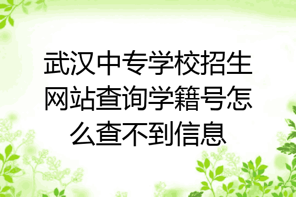 武汉中专学校招生网站查询学籍号怎么查不到信息