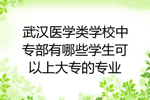 武汉医学类学校中专部有哪些学生可以上大专的专业
