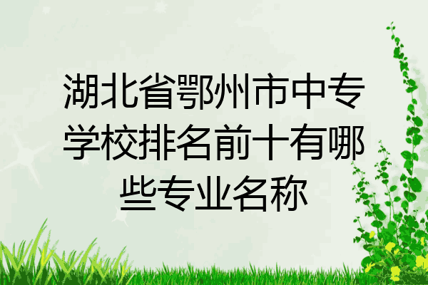湖北省鄂州市中专学校排名前十有哪些专业名称