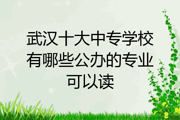 武汉十大中专学校有哪些公办的专业可以读
