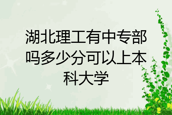 湖北理工有中专部吗多少分可以上本科大学