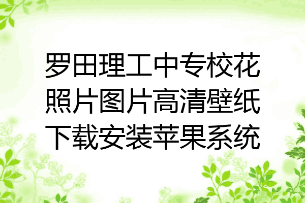 罗田理工中专校花照片图片高清壁纸下载安装苹果系统