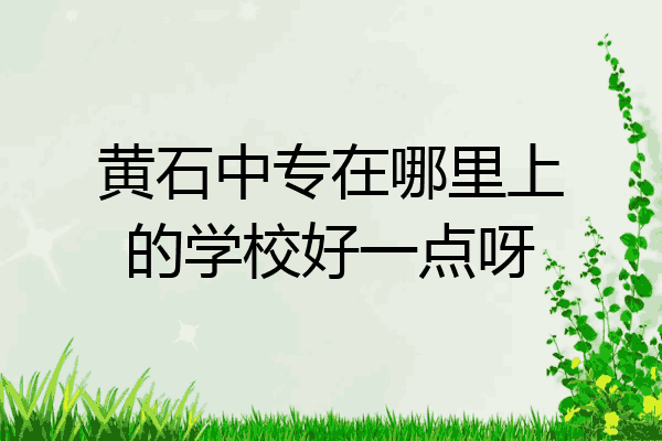 黄石中专在哪里上的学校好一点呀