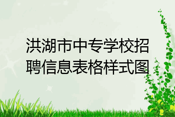 洪湖市中专学校招聘信息表格样式图