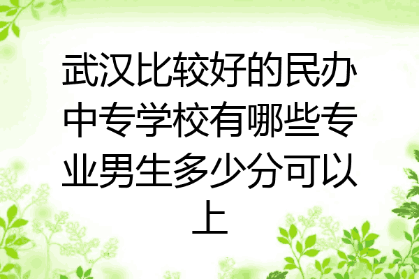 武汉比较好的民办中专学校有哪些专业男生多少分可以上