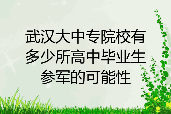 武汉大中专院校有多少所高中毕业生参军的可能性
