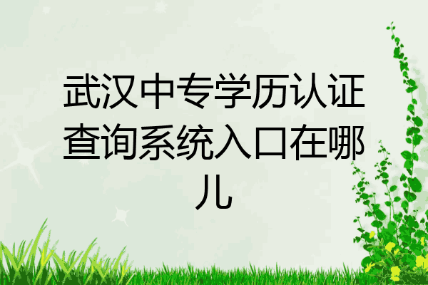 武汉中专学历认证查询系统入口在哪儿