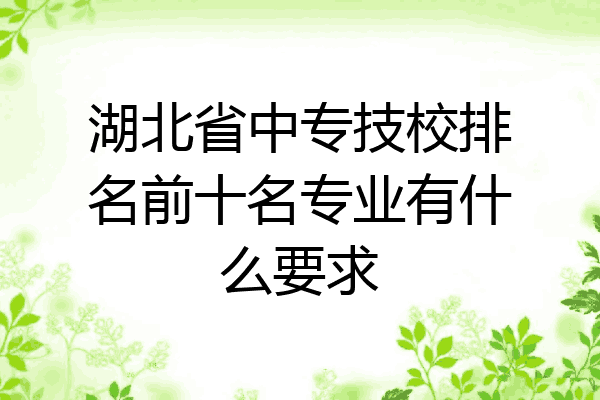 湖北省中专技校排名前十名专业有什么要求
