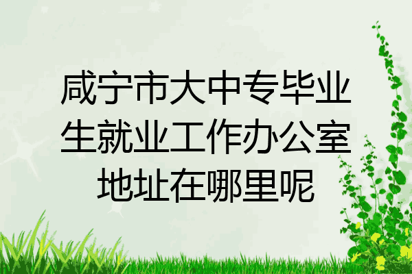 咸宁市大中专毕业生就业工作办公室地址在哪里呢