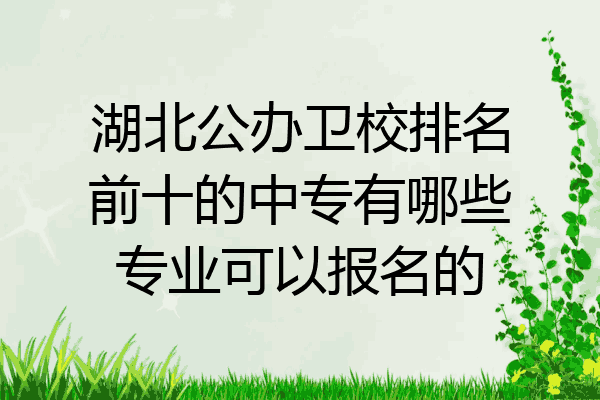 湖北公办卫校排名前十的中专有哪些专业可以报名的