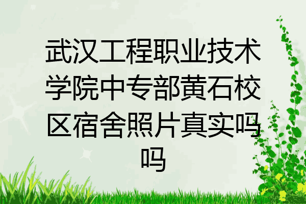 武汉工程职业技术学院中专部黄石校区宿舍照片真实吗吗