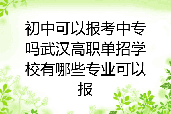 初中可以报考中专吗武汉高职单招学校有哪些专业可以报