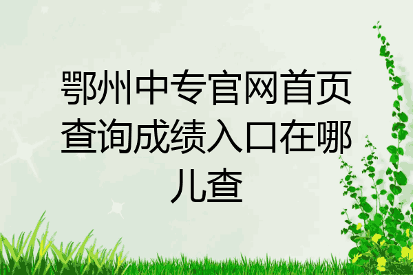 鄂州中专官网首页查询成绩入口在哪儿查