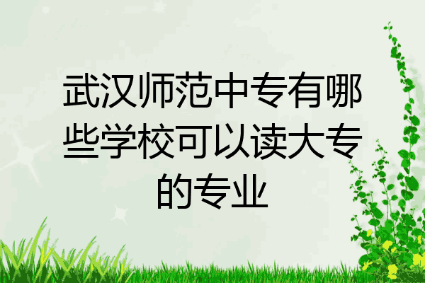 武汉师范中专有哪些学校可以读大专的专业
