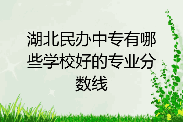 湖北民办中专有哪些学校好的专业分数线