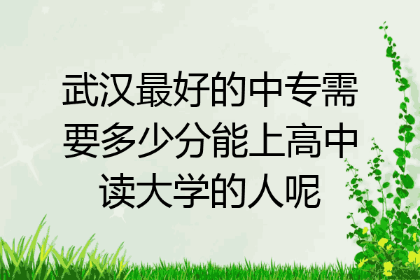 武汉最好的中专需要多少分能上高中读大学的人呢