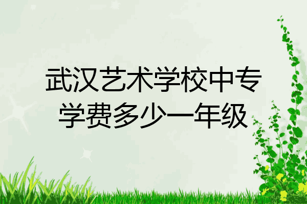 武汉艺术学校中专学费多少一年级