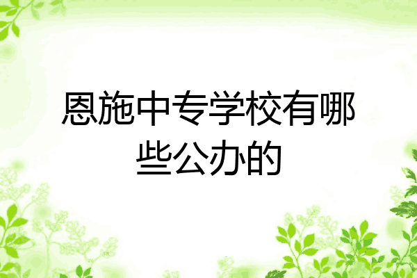 恩施中专学校有哪些公办的