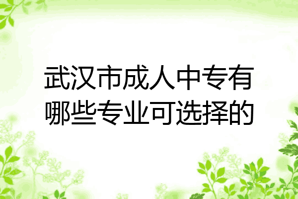 武汉市成人中专有哪些专业可选择的