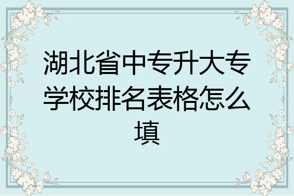 湖北省中专升大专学校排名表格怎么填