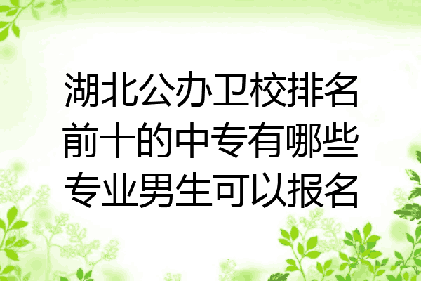 湖北公办卫校排名前十的中专有哪些专业男生可以报名