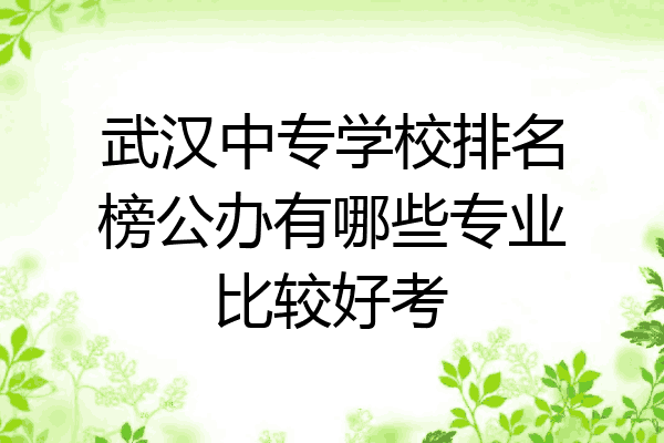 武汉中专学校排名榜公办有哪些专业比较好考