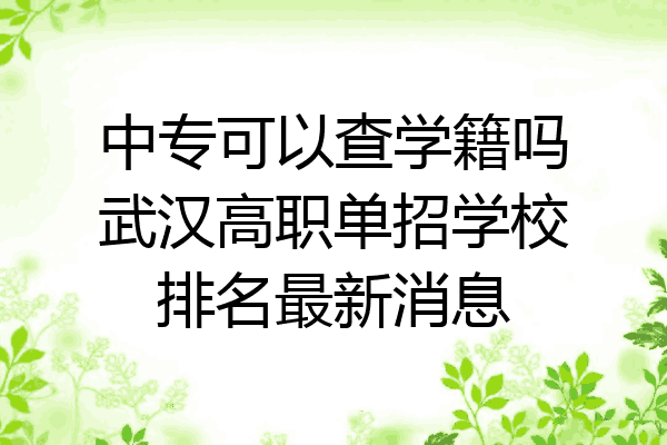 中专可以查学籍吗武汉高职单招学校排名最新消息
