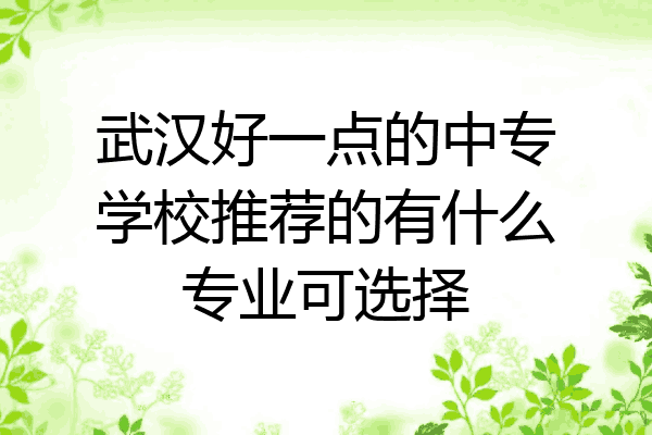 武汉好一点的中专学校推荐的有什么专业可选择