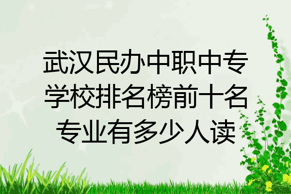 武汉民办中职中专学校排名榜前十名专业有多少人读