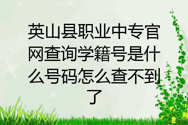 英山县职业中专官网查询学籍号是什么号码怎么查不到了