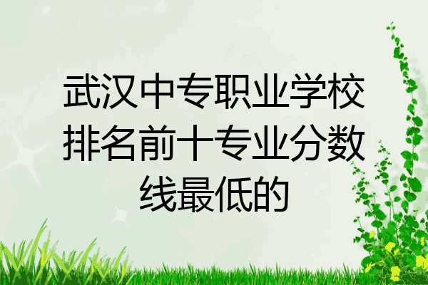 武汉中专职业学校排名前十专业分数线最低的